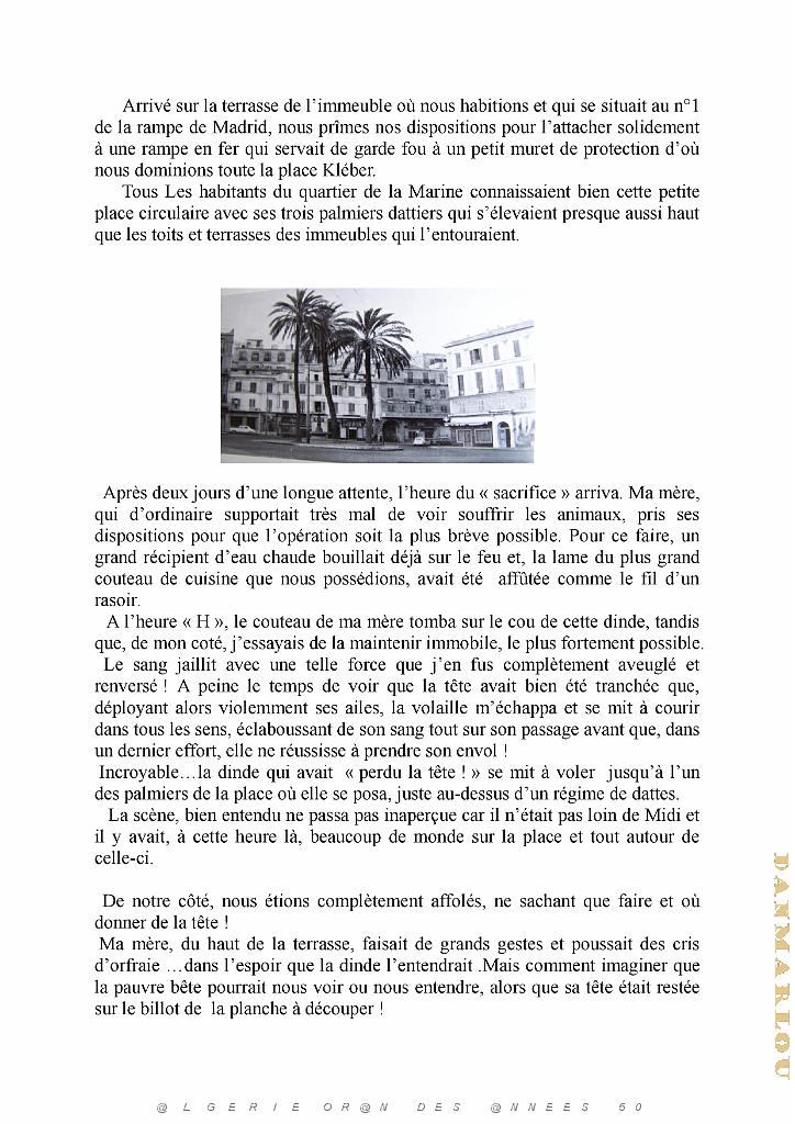 La dinde de Noel (2).jpg